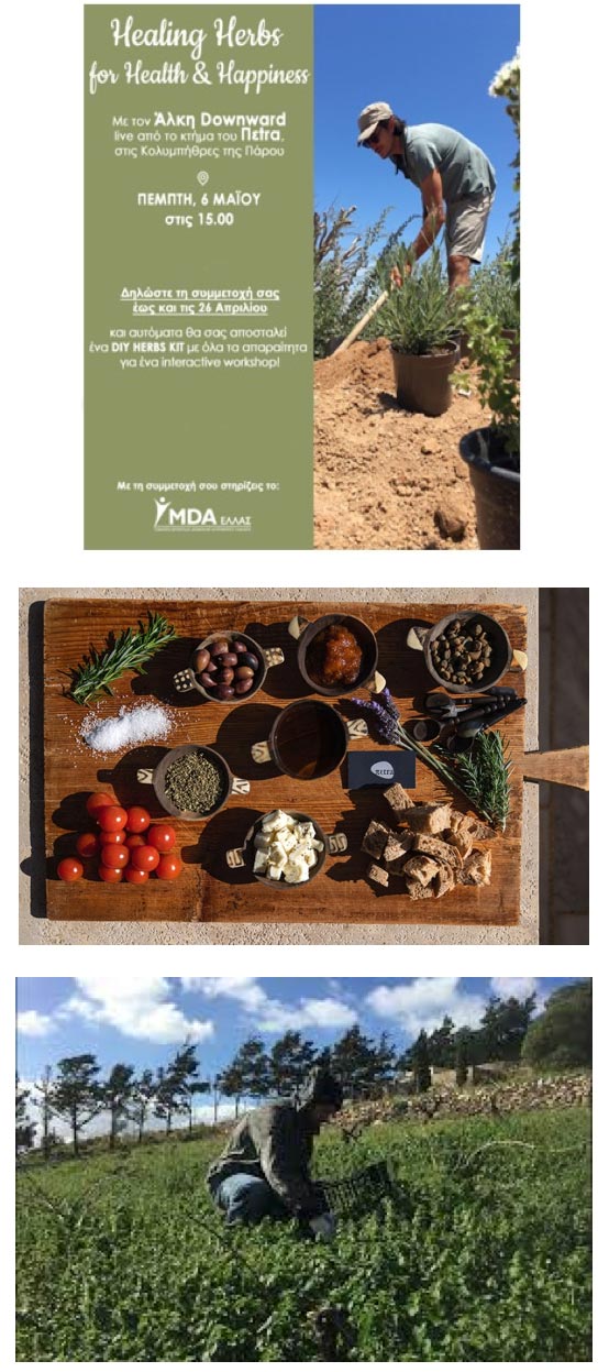 Healing Herbs for Health and Happiness