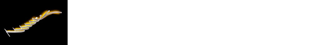 Συμμετοχή στην δημοπρασία CREAID “Designers Lights”